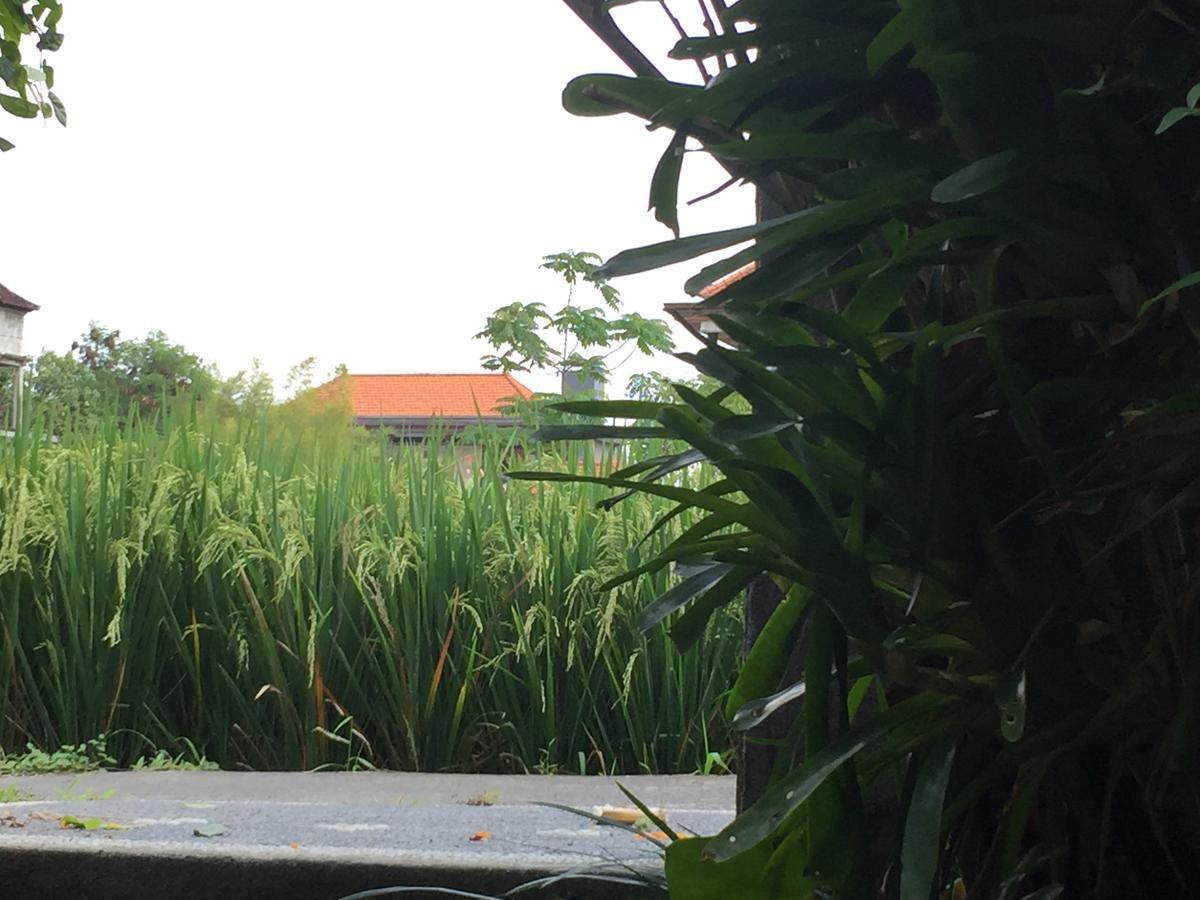 Depong House Apartment อูบุด ภายนอก รูปภาพ